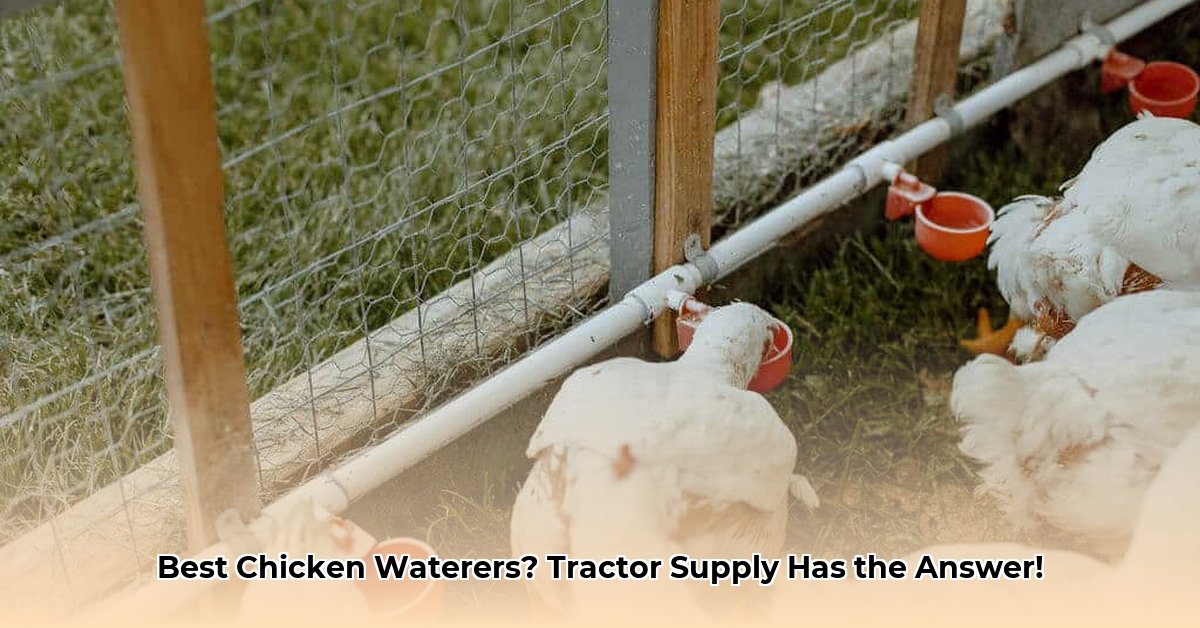 chicken-waterers-tractor-supply